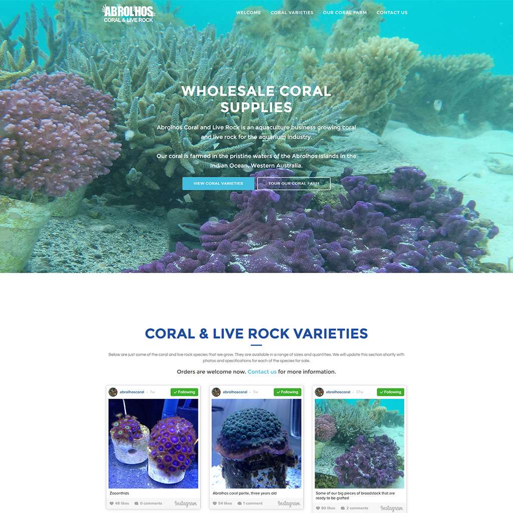 Abrolhos Coral web design